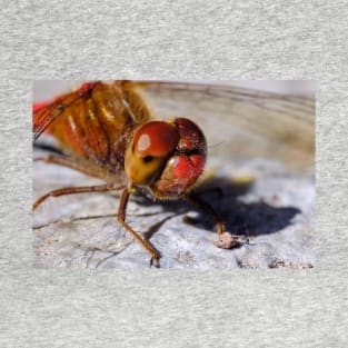 Red Dragonfly Macro Photograph T-Shirt